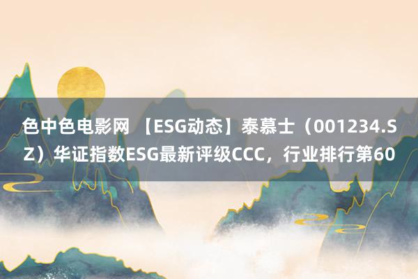 色中色电影网 【ESG动态】泰慕士（001234.SZ）华证指数ESG最新评级CCC，行业排行第60