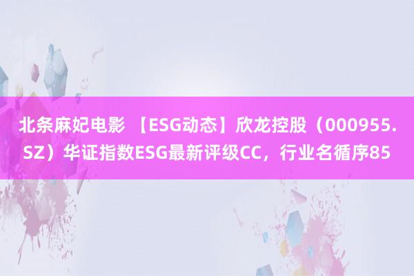 北条麻妃电影 【ESG动态】欣龙控股（000955.SZ）华证指数ESG最新评级CC，行业名循序85