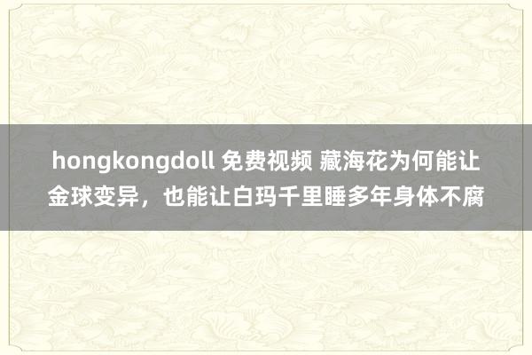 hongkongdoll 免费视频 藏海花为何能让金球变异，也能让白玛千里睡多年身体不腐