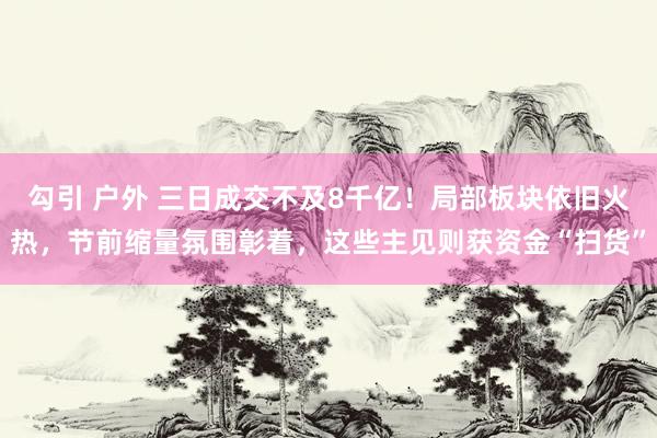 勾引 户外 三日成交不及8千亿！局部板块依旧火热，节前缩量氛围彰着，这些主见则获资金“扫货”