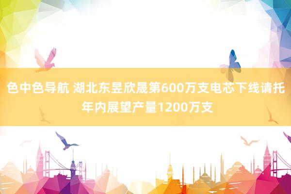 色中色导航 湖北东昱欣晟第600万支电芯下线请托 年内展望产量1200万支