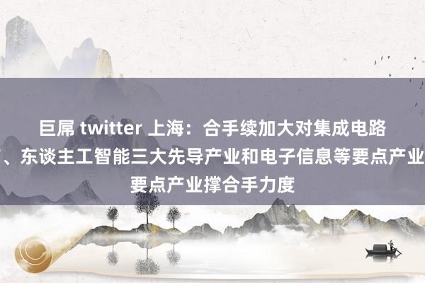 巨屌 twitter 上海：合手续加大对集成电路、生物医药、东谈主工智能三大先导产业和电子信息等要点产业撑合手力度