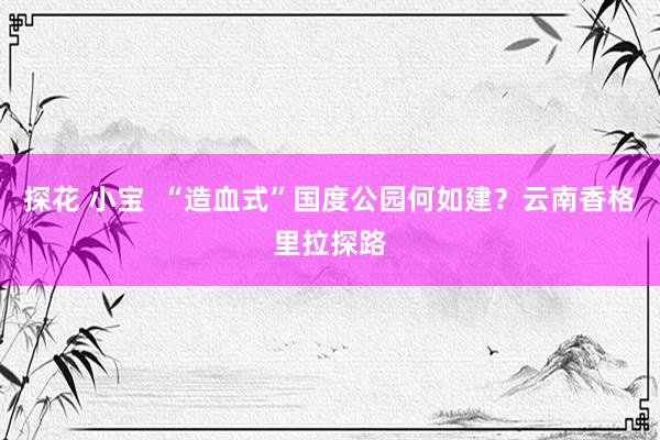 探花 小宝  “造血式”国度公园何如建？云南香格里拉探路