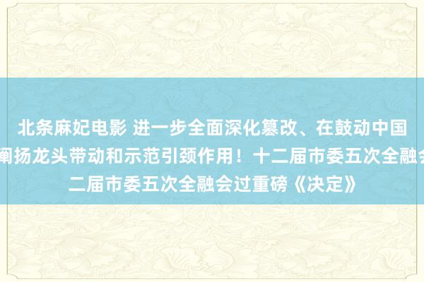 北条麻妃电影 进一步全面深化篡改、在鼓动中国式当代化中充分阐扬龙头带动和示范引颈作用！十二届市委五次全融会过重磅《决定》