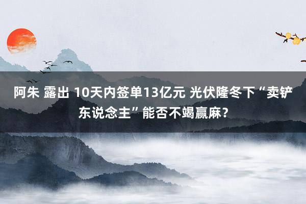 阿朱 露出 10天内签单13亿元 光伏隆冬下“卖铲东说念主”能否不竭赢麻？