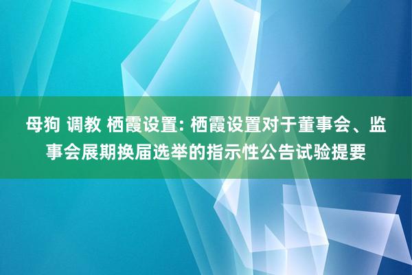 母狗 调教 栖霞设置: 栖霞设置对于董事会、监事会展期换届选举的指示性公告试验提要