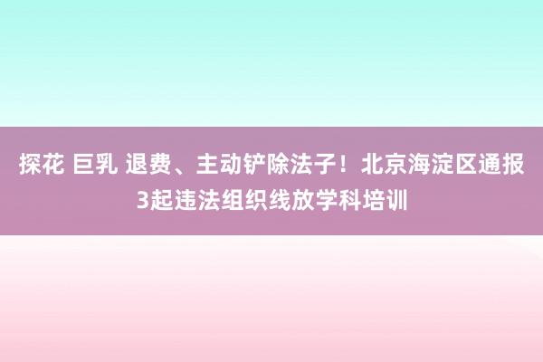 探花 巨乳 退费、主动铲除法子！北京海淀区通报3起违法组织线放学科培训