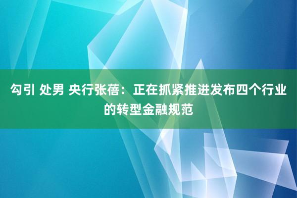 勾引 处男 央行张蓓：正在抓紧推进发布四个行业的转型金融规范