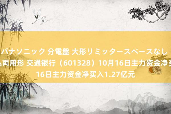 パナソニック 分電盤 大形リミッタースペースなし 露出・半埋込両用形 交通银行（601328）10月16日主力资金净买入1.27亿元