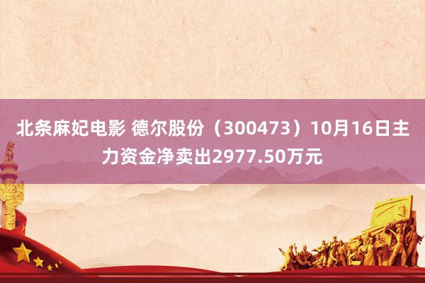 北条麻妃电影 德尔股份（300473）10月16日主力资金净卖出2977.50万元