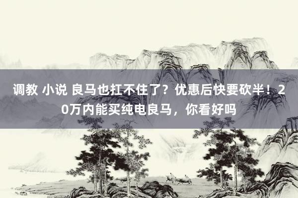 调教 小说 良马也扛不住了？优惠后快要砍半！20万内能买纯电良马，你看好吗