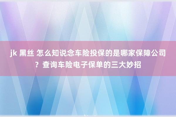 jk 黑丝 怎么知说念车险投保的是哪家保障公司？查询车险电子保单的三大妙招