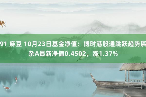 91 麻豆 10月23日基金净值：博时港股通跳跃趋势羼杂A最新净值0.4502，涨1.37%