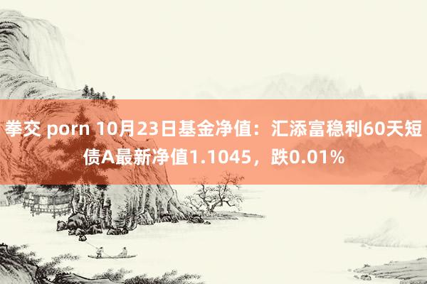 拳交 porn 10月23日基金净值：汇添富稳利60天短债A最新净值1.1045，跌0.01%