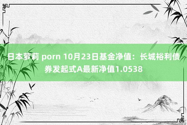 日本萝莉 porn 10月23日基金净值：长城裕利债券发起式A最新净值1.0538