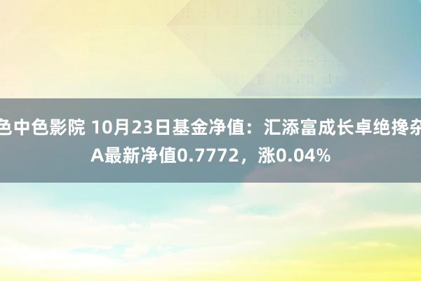 色中色影院 10月23日基金净值：汇添富成长卓绝搀杂A最新净值0.7772，涨0.04%