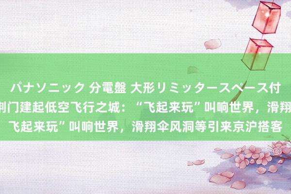 パナソニック 分電盤 大形リミッタースペース付 露出・半埋込両用形 荆门建起低空飞行之城：“飞起来玩”叫响世界，滑翔伞风洞等引来京沪搭客