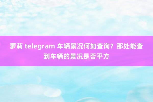 萝莉 telegram 车辆景况何如查询？那处能查到车辆的景况是否平方