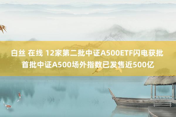 白丝 在线 12家第二批中证A500ETF闪电获批 首批中证A500场外指数已发售近500亿