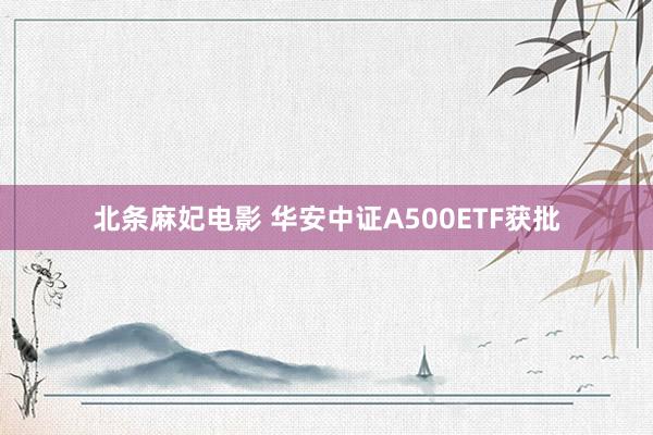 北条麻妃电影 华安中证A500ETF获批