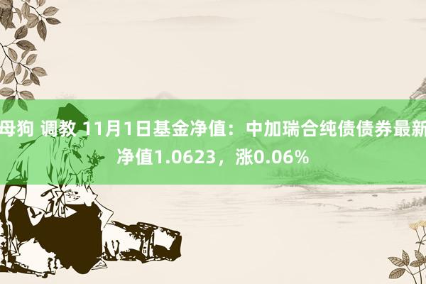 母狗 调教 11月1日基金净值：中加瑞合纯债债券最新净值1.0623，涨0.06%