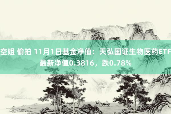 空姐 偷拍 11月1日基金净值：天弘国证生物医药ETF最新净值0.3816，跌0.78%