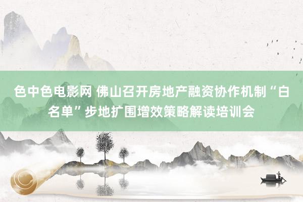 色中色电影网 佛山召开房地产融资协作机制“白名单”步地扩围增效策略解读培训会