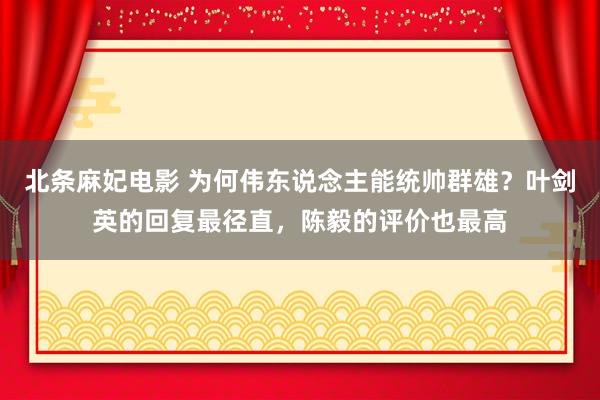 北条麻妃电影 为何伟东说念主能统帅群雄？叶剑英的回复最径直，陈毅的评价也最高