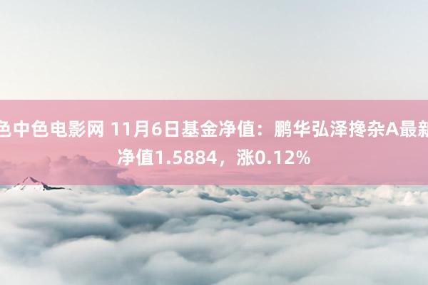 色中色电影网 11月6日基金净值：鹏华弘泽搀杂A最新净值1.5884，涨0.12%