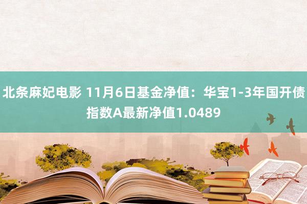 北条麻妃电影 11月6日基金净值：华宝1-3年国开债指数A最新净值1.0489