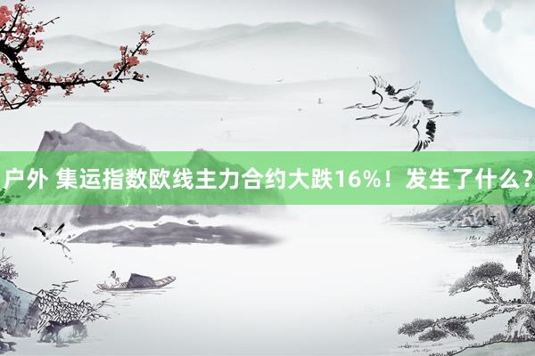 户外 集运指数欧线主力合约大跌16%！发生了什么？