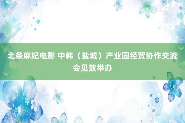 北条麻妃电影 中韩（盐城）产业园经贸协作交流会见效举办