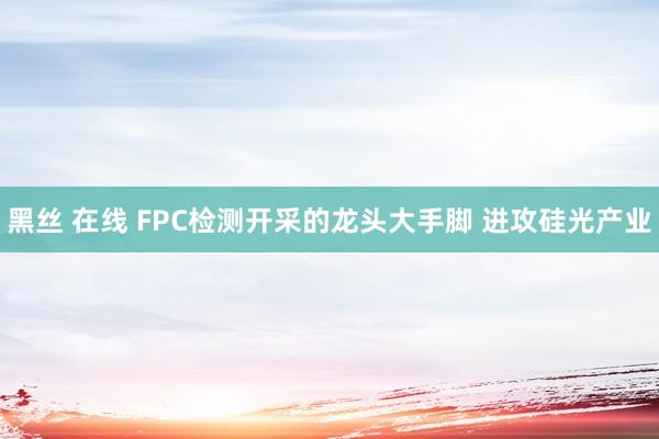 黑丝 在线 FPC检测开采的龙头大手脚 进攻硅光产业