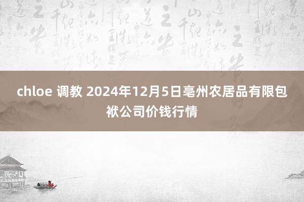 chloe 调教 2024年12月5日亳州农居品有限包袱公司价钱行情