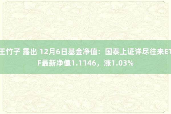 王竹子 露出 12月6日基金净值：国泰上证详尽往来ETF最新净值1.1146，涨1.03%