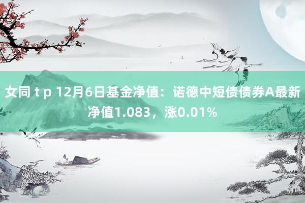 女同 t p 12月6日基金净值：诺德中短债债券A最新净值1.083，涨0.01%