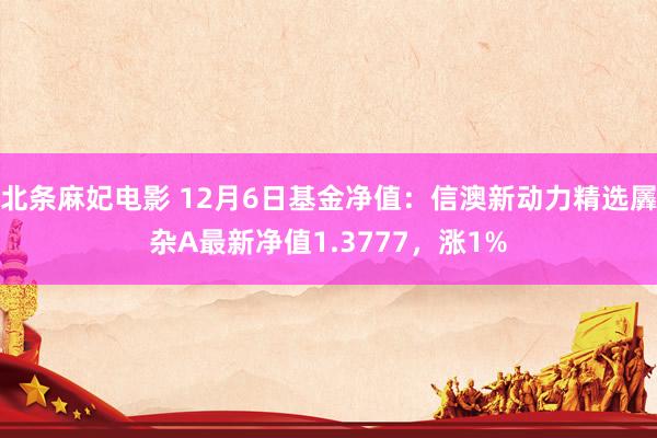 北条麻妃电影 12月6日基金净值：信澳新动力精选羼杂A最新净值1.3777，涨1%