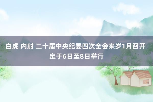 白虎 内射 二十届中央纪委四次全会来岁1月召开 定于6日至8日举行