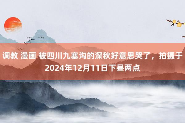 调教 漫画 被四川九塞沟的深秋好意思哭了，拍摄于2024年12月11日下昼两点