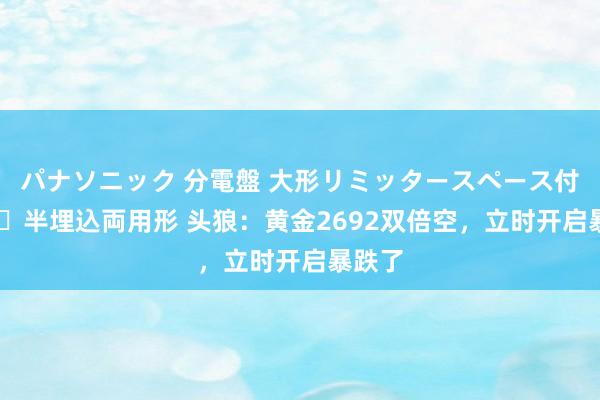 パナソニック 分電盤 大形リミッタースペース付 露出・半埋込両用形 头狼：黄金2692双倍空，立时开启暴跌了