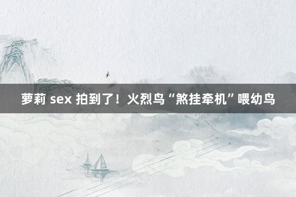 萝莉 sex 拍到了！火烈鸟“煞挂牵机”喂幼鸟