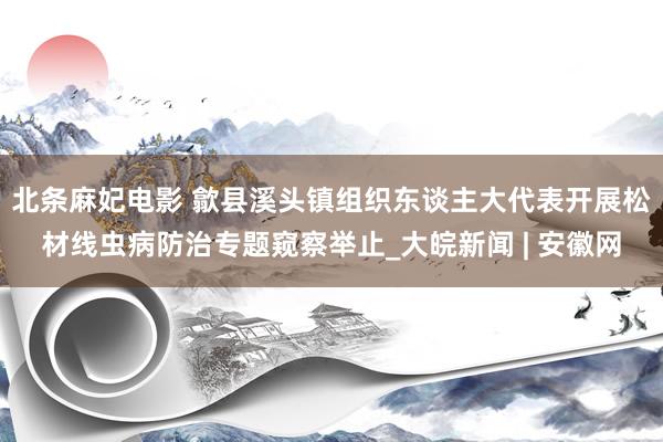 北条麻妃电影 歙县溪头镇组织东谈主大代表开展松材线虫病防治专题窥察举止_大皖新闻 | 安徽网