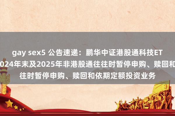 gay sex5 公告速递：鹏华中证港股通科技ETF发起式联接基金2024年末及2025年非港股通往往时暂停申购、赎回和依期定额投资业务