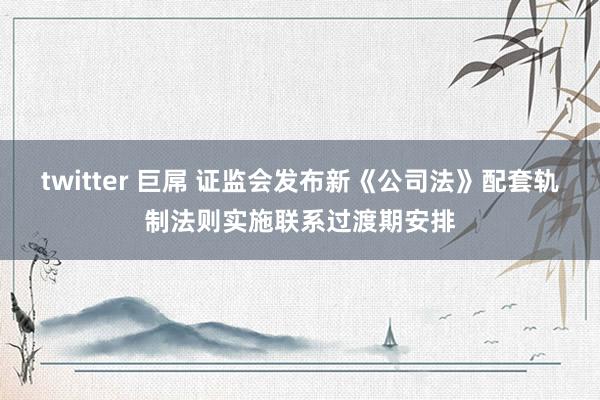 twitter 巨屌 证监会发布新《公司法》配套轨制法则实施联系过渡期安排