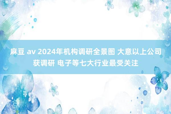 麻豆 av 2024年机构调研全景图 大意以上公司获调研 电子等七大行业最受关注