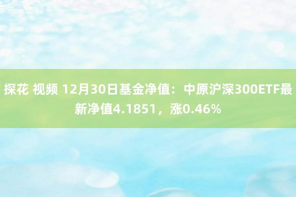 探花 视频 12月30日基金净值：中原沪深300ETF最新净值4.1851，涨0.46%