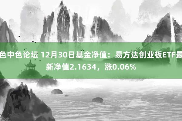 色中色论坛 12月30日基金净值：易方达创业板ETF最新净值2.1634，涨0.06%