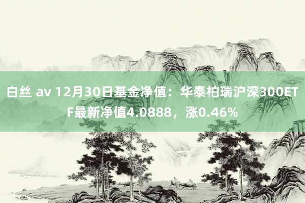 白丝 av 12月30日基金净值：华泰柏瑞沪深300ETF最新净值4.0888，涨0.46%