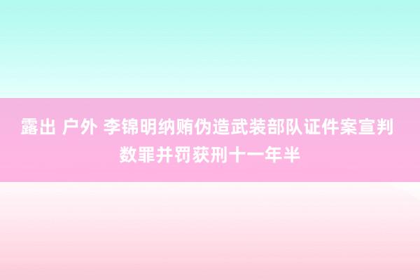 露出 户外 李锦明纳贿伪造武装部队证件案宣判 数罪并罚获刑十一年半