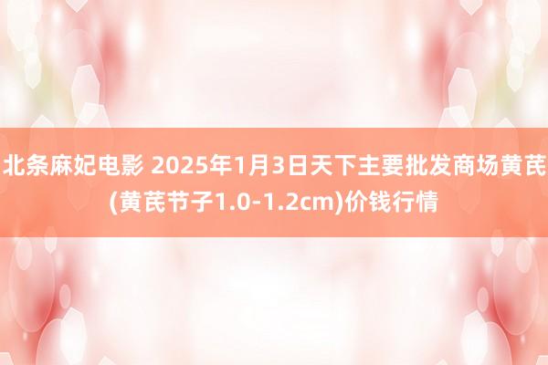 北条麻妃电影 2025年1月3日天下主要批发商场黄芪(黄芪节子1.0-1.2cm)价钱行情